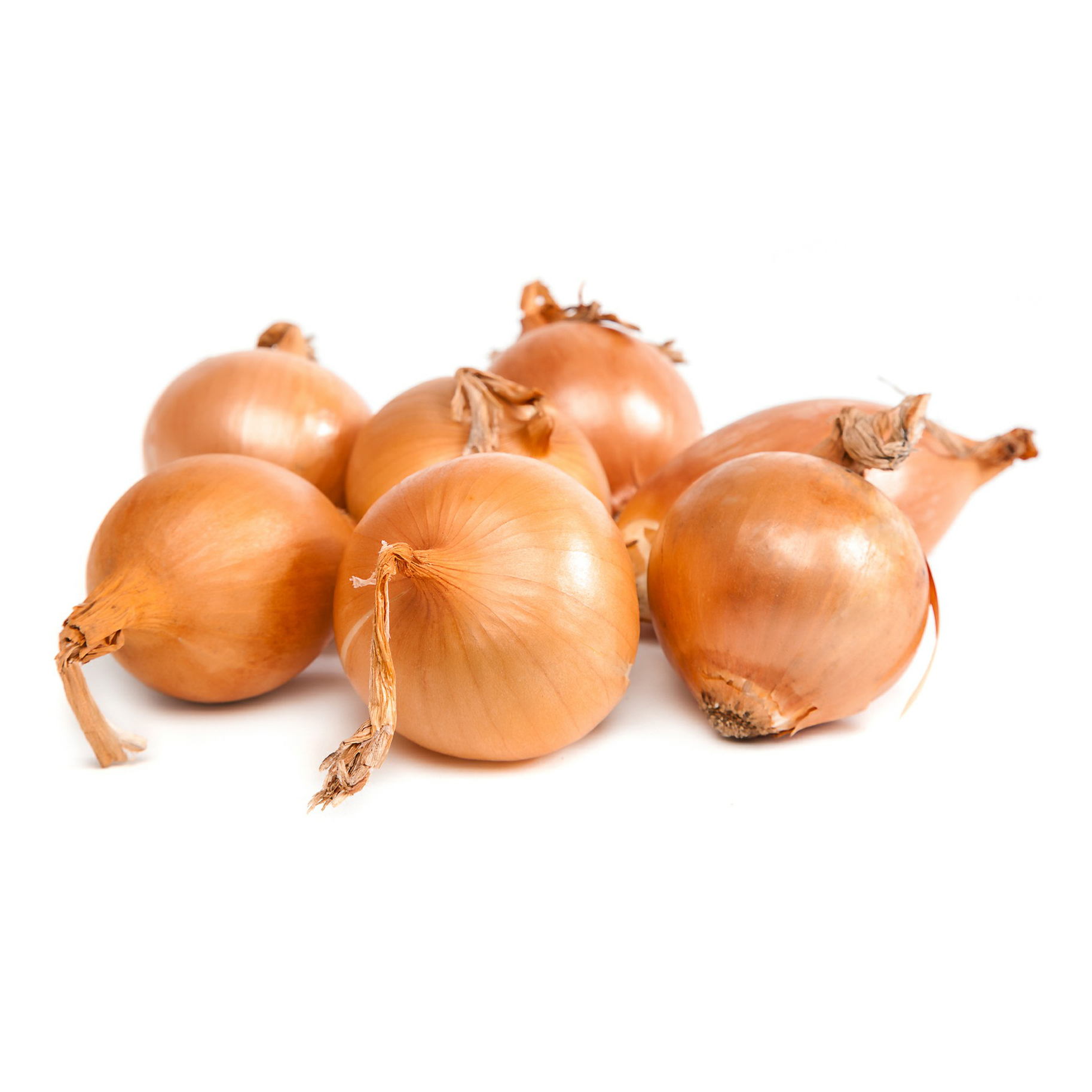 

Лук