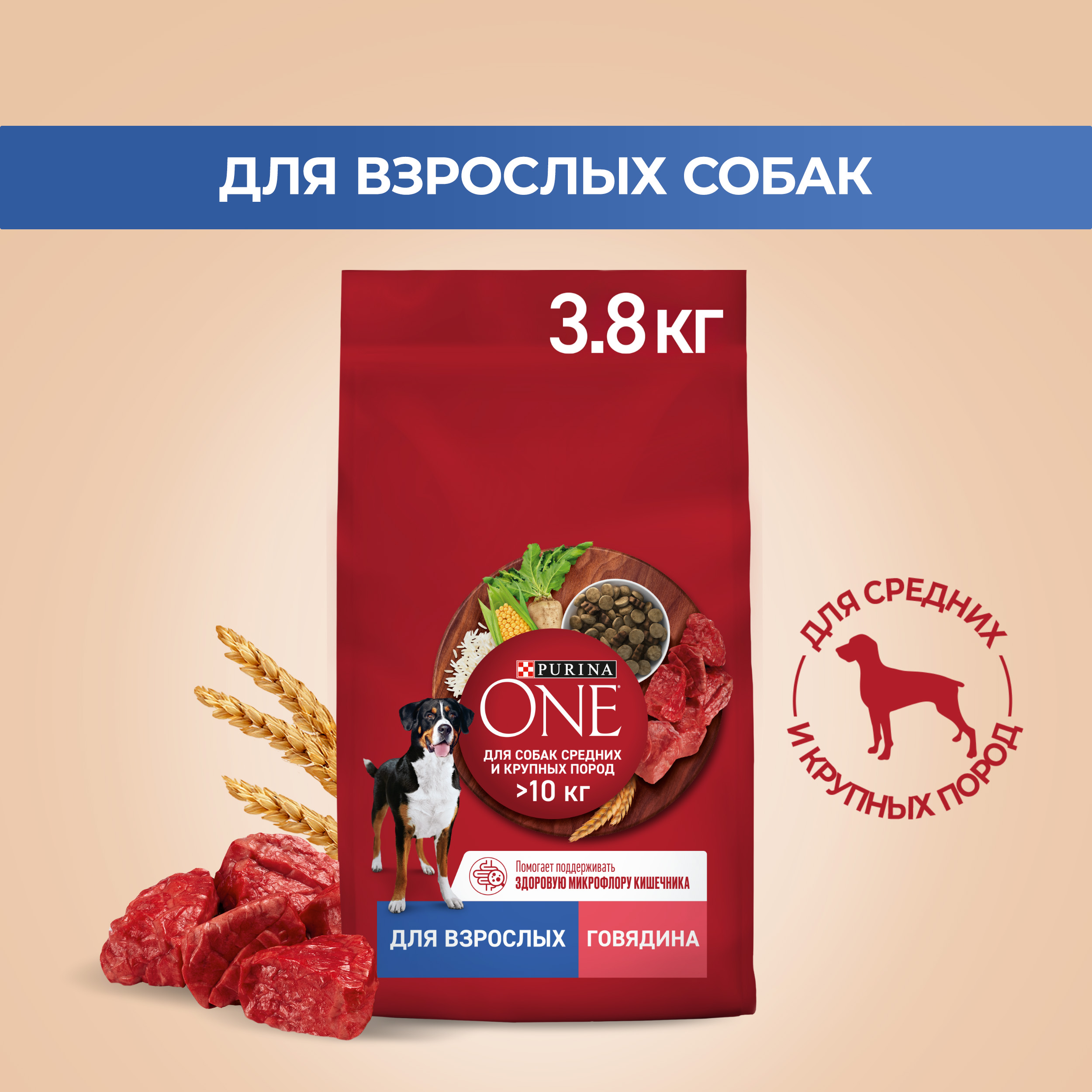 Сухой корм для собак Purina ONE для средних и крупных пород с говядиной и рисом, 3,8 кг