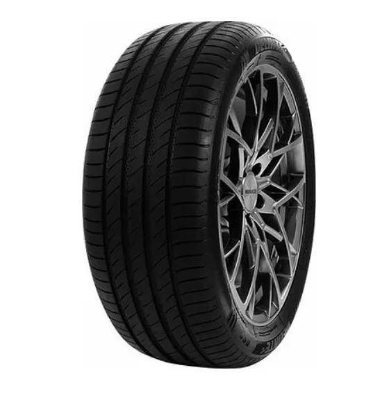 Шина Delinte 225/55 R17 Ds2 101W DELINTE 6921109068842