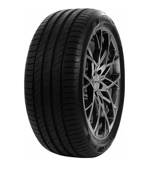 Шина Delinte 225/45 R17 Ds2 94W DELINTE 6921109046406