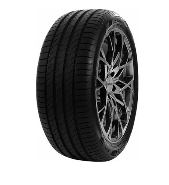 

Шина Delinte 235/40 R18 Ds2 95W DELINTE 6921109046468, DS2