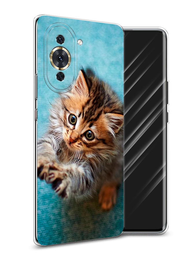 

Чехол Awog на Huawei Nova 10 Pro "Котенок просит есть", Разноцветный, 6109050-2