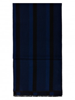 

Шарф мужской Labbra 01-00035037 синий, 30х180 см, 01-00035037