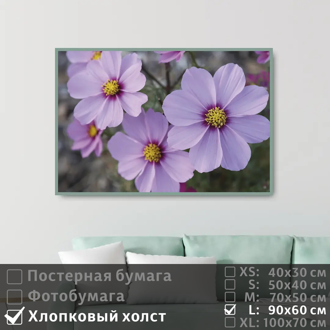 

Постер на холсте ПолиЦентр Летние сиреневые цветы 90х60 см, ЛетниеСиреневыеЦветы