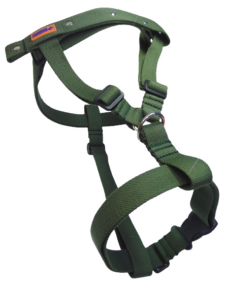 

RichPet Шлейка брезентовая Green Dog, 25 мм х 45-70 см(обхват шеи)/55-75 см(обхват груди), 12499