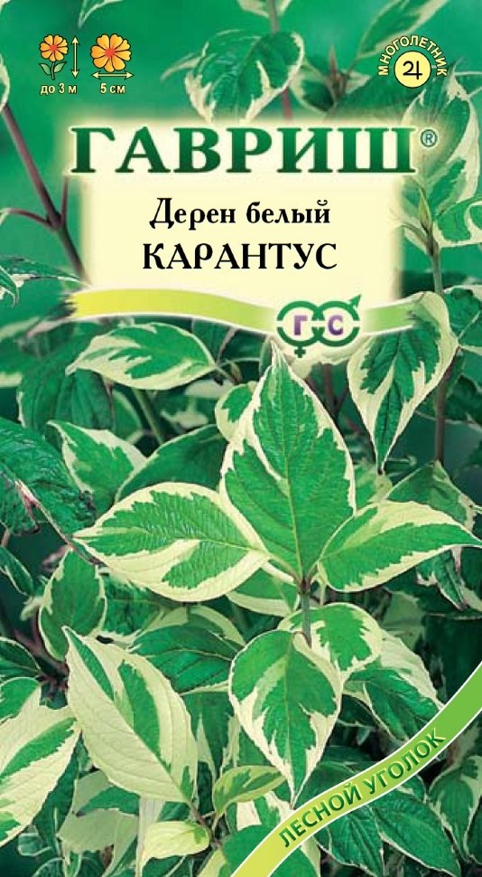 

Семена Гавриш Дерен белый Карантус, 0,1 г