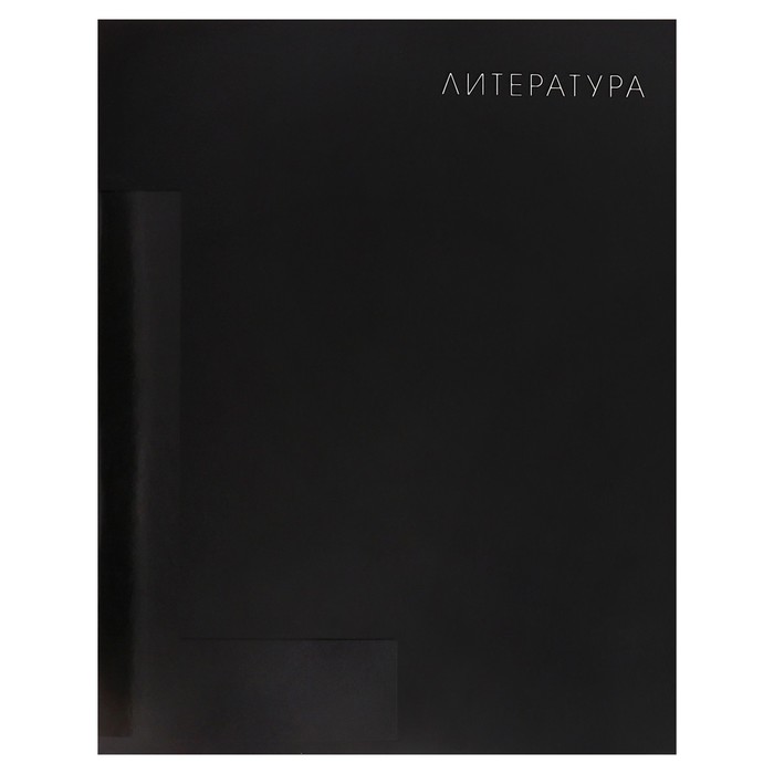 

Тетрадь предметная Calligrata BlackTone Top 48 л в линию Литература обложка картон