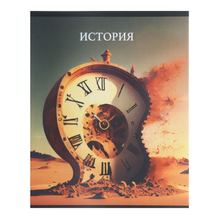 

Тетрадь предметная Calligrata Top Школьный стиль 48 л в клетку История пластиковая обложка