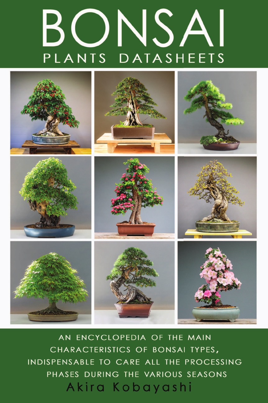

BONSAI - Plants Datasheets