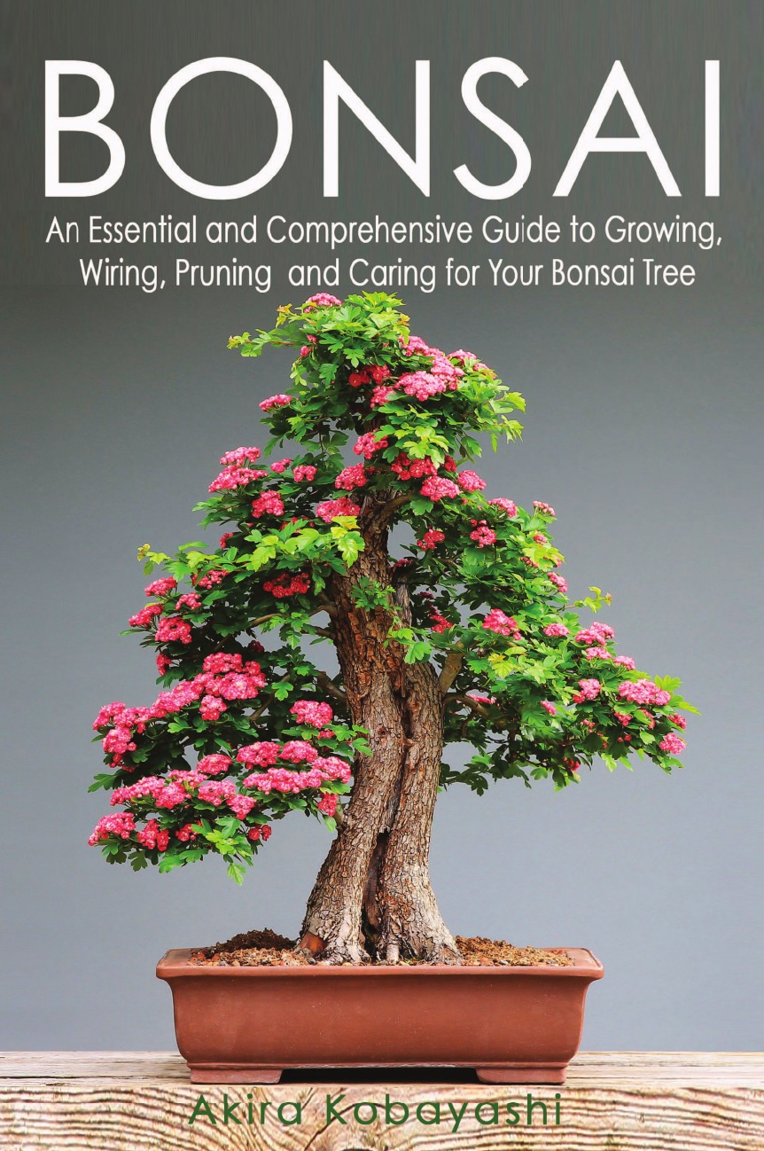 

BONSAI