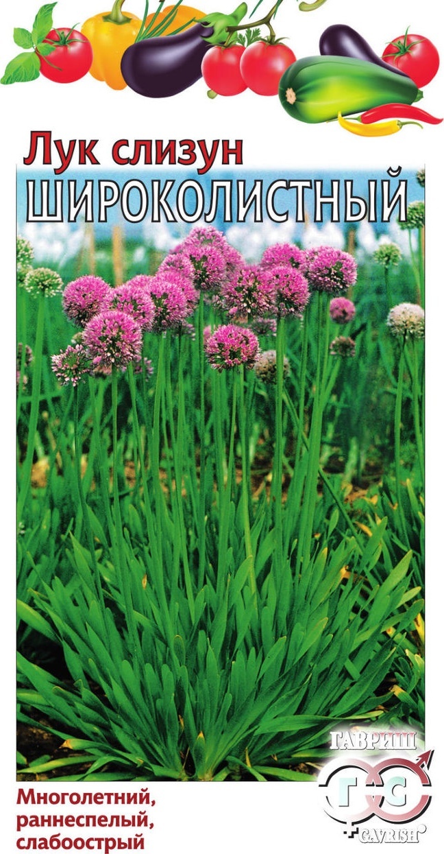 

Семена Гавриш Лук слизун Широколистный, 0,5 г