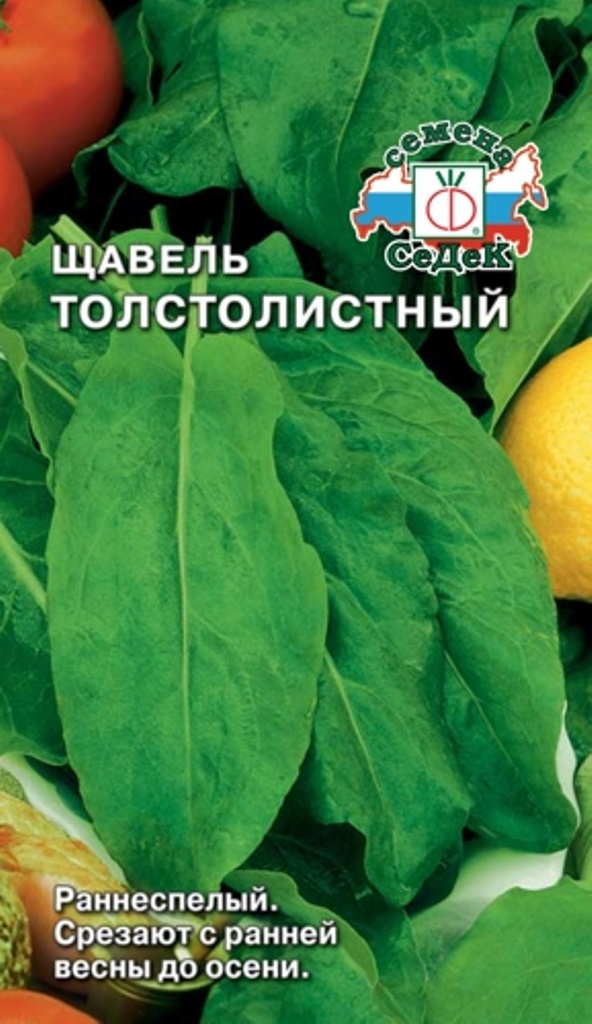 

Семена СеДеК Щавель Толстолистный, 0,5 г