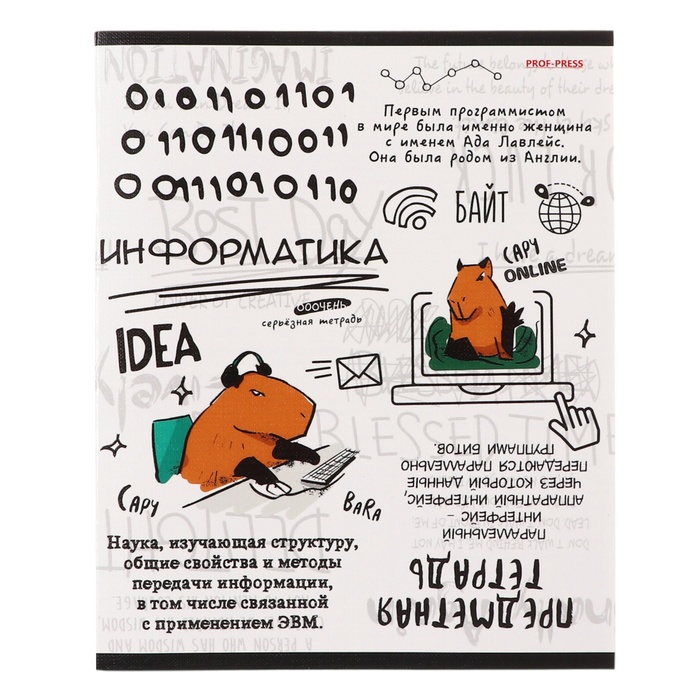 

Тетрадь предметная Проф-Пресс Капибара 48 л в клетку Информатика