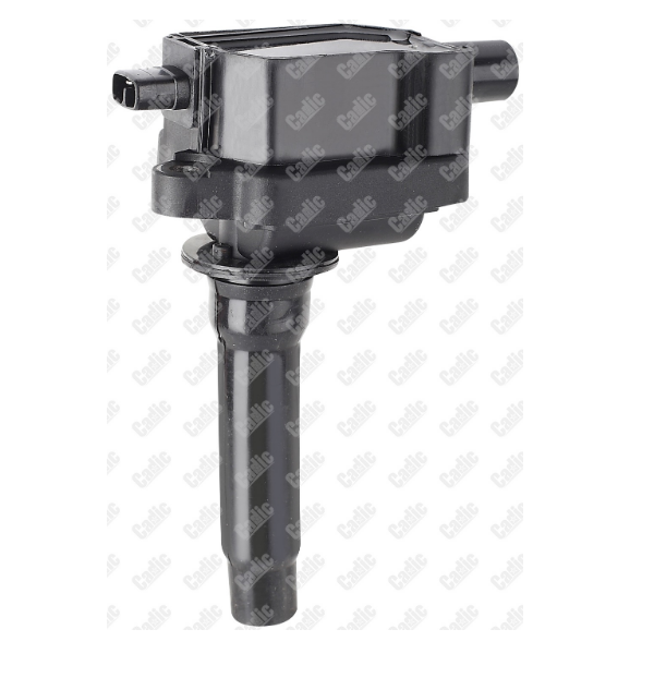 

CADIC Катушка зажигания CADIC kd9012b