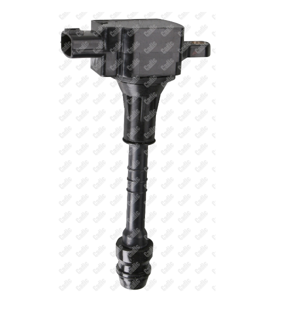 

CADIC Катушка зажигания CADIC kd9613
