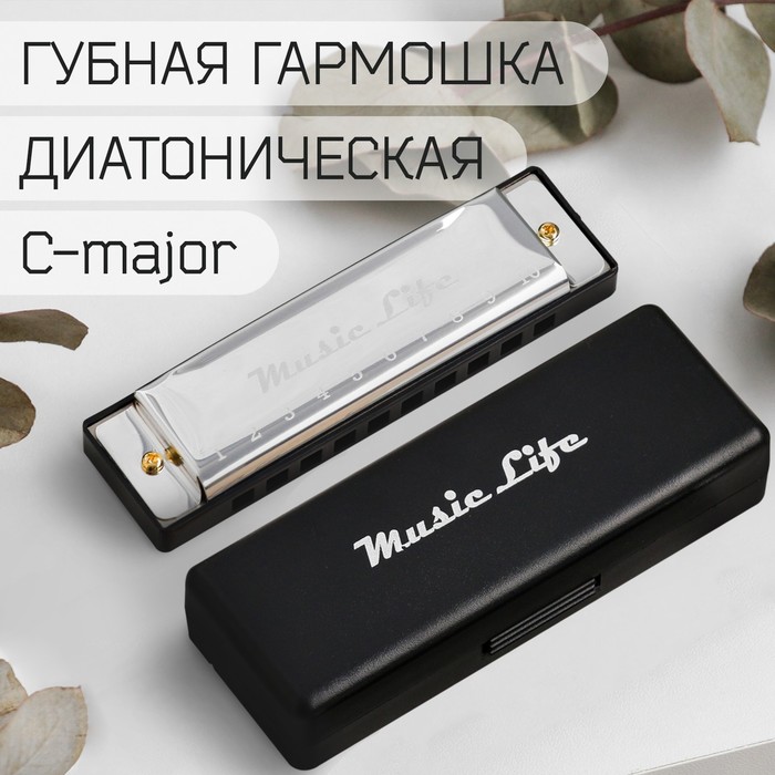 Губная гармошка Music Life, цвет серебристый, диатоническая, C-major