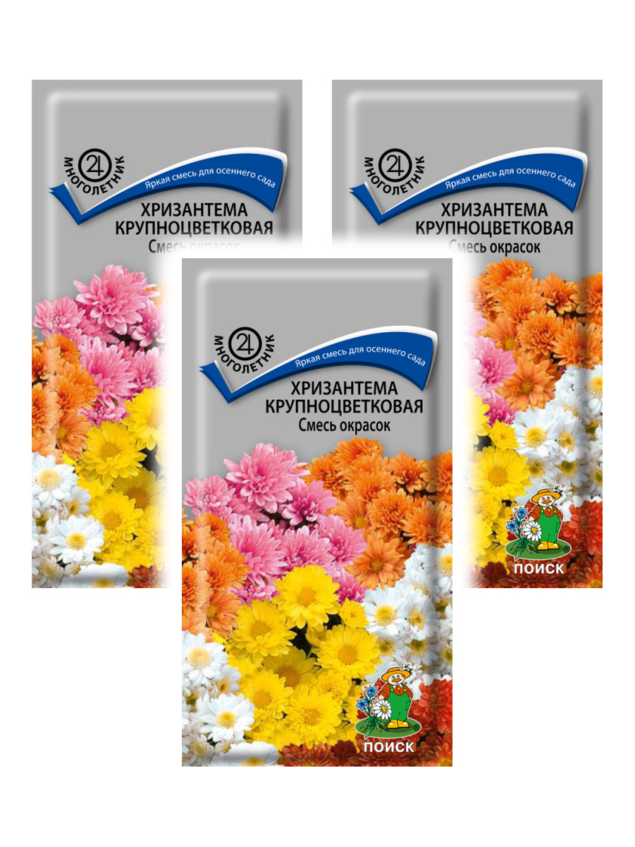 Семена набор хризантема Поиск крупноцветковая смесь окрасок 96184 3 уп.