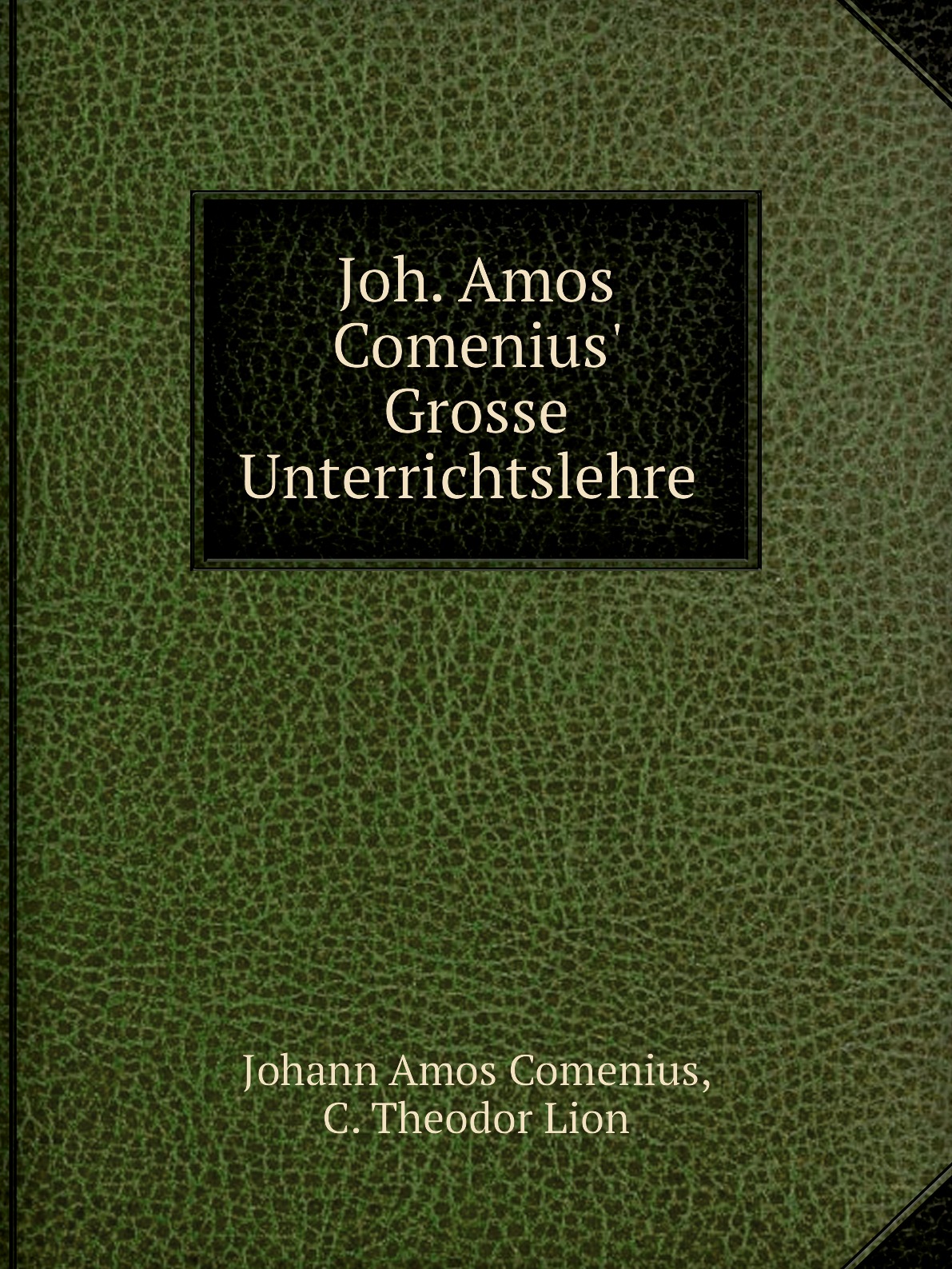 

Joh. Amos Comenius' Grosse Unterrichtslehre