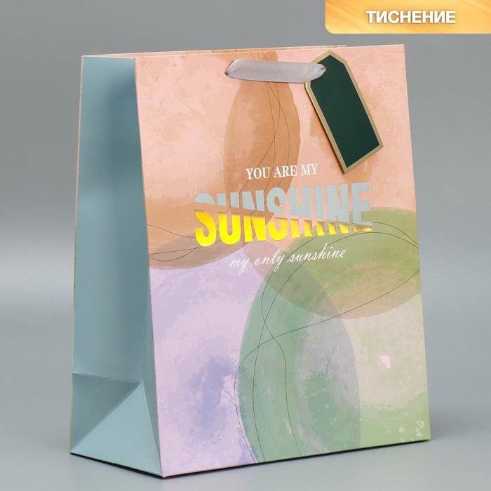 

Пакет ламинированный «Солнце моё», 25.4 х 30.5 х 12.7 см, Разноцветный