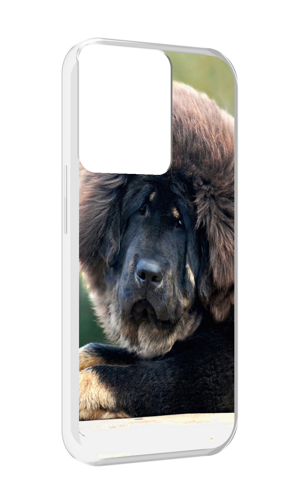 

Чехол MyPads тибетскии мастиф для OPPO Reno 8, Прозрачный, Tocco