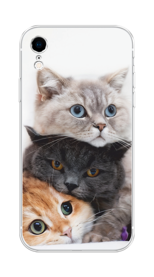 

Чехол на Apple iPhone XR "Пушистые мордашки", Серый;черный;оранжевый, 12050-1