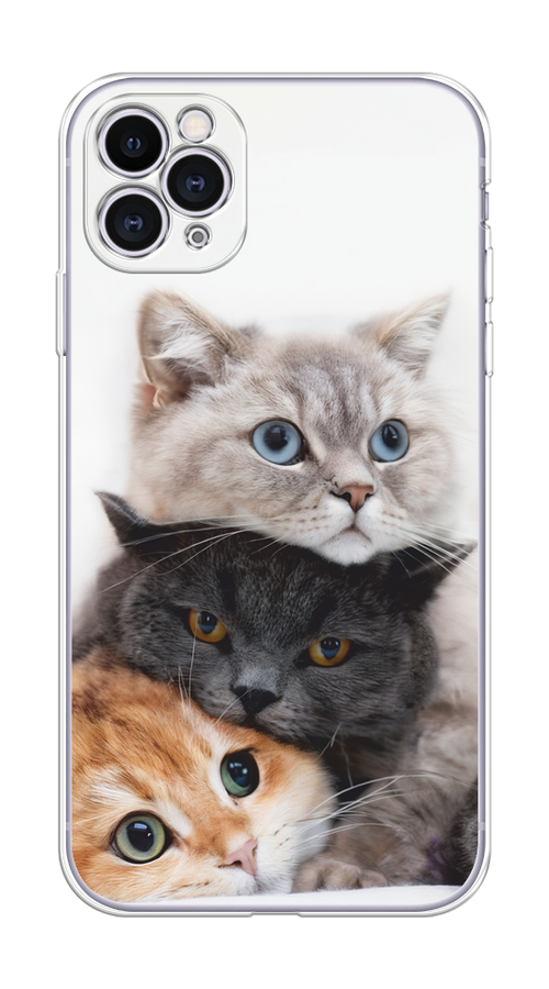 

Чехол на Apple iPhone 11 Pro "Пушистые мордашки", Серый;черный;оранжевый, 12350-1