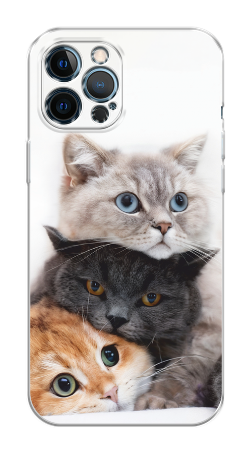 

Чехол на Apple iPhone 12 Pro Max "Пушистые мордашки", Серый;черный;оранжевый, 12750-1