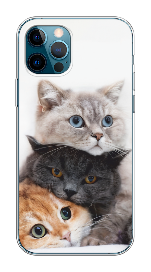 

Чехол на Apple iPhone 12/12 Pro "Пушистые мордашки", Серый;черный;оранжевый, 12850-1