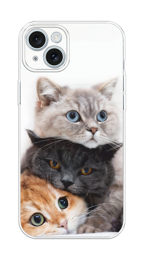 

Чехол на Apple iPhone 15 Plus "Пушистые мордашки", Серый;черный;оранжевый, 15650-1