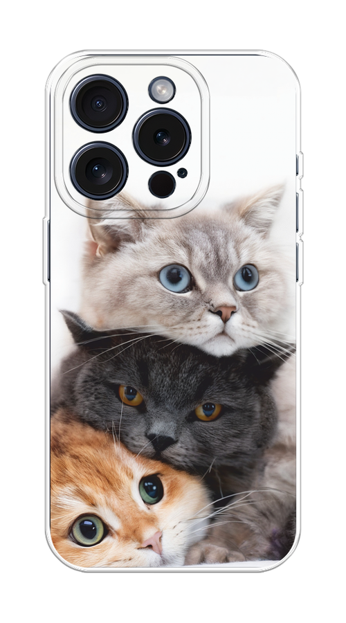 

Чехол на Apple iPhone 15 Pro "Пушистые мордашки", Серый;черный;оранжевый, 15750-1