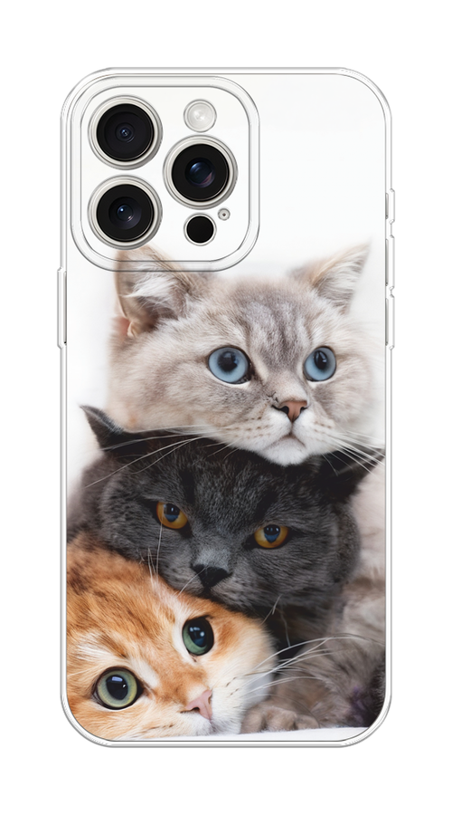 

Чехол на Apple iPhone 15 Pro Max "Пушистые мордашки", Серый;черный;оранжевый, 15850-1