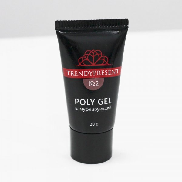 Полигель Trendypresent Poly Gel камуфлирующий N2 30 г