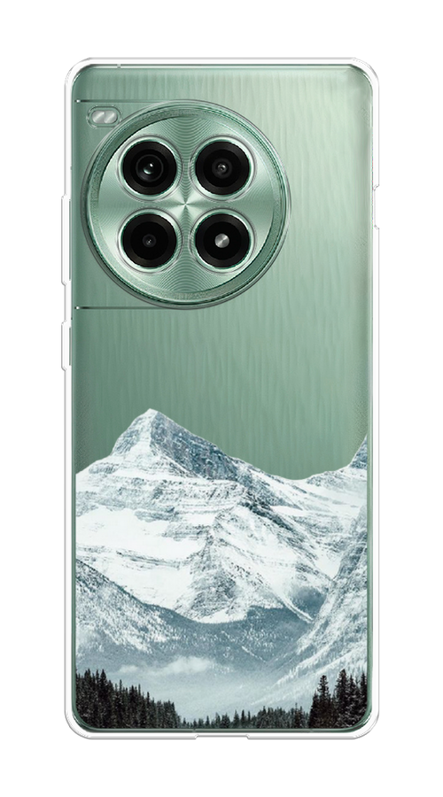 

Чехол на OnePlus Ace 3 Pro "Горы арт 1", Белый;зеленый, 155150-1