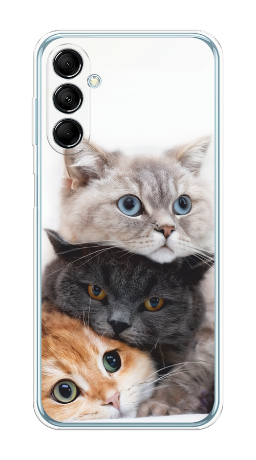 

Чехол на Samsung Galaxy M14 5G "Пушистые мордашки", Серый;черный;оранжевый, 2108150-1