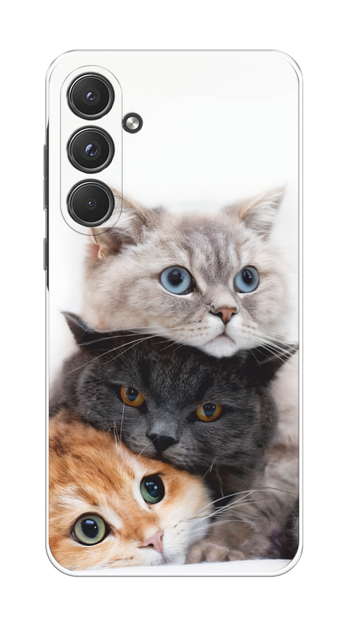

Чехол на Samsung Galaxy A55 5G "Пушистые мордашки", Серый;черный;оранжевый, 2109450-1