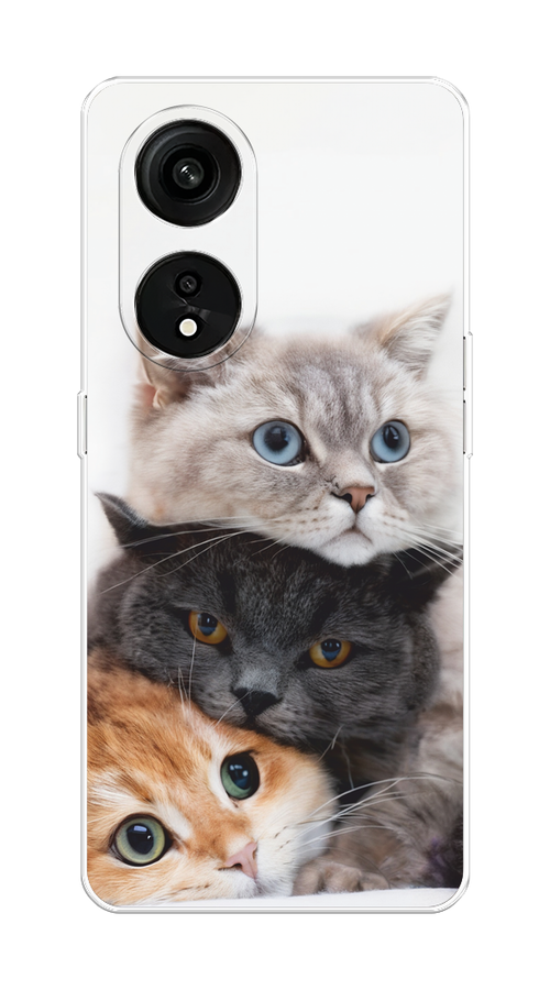 

Чехол на OPPO Reno 8T 5G "Пушистые мордашки", Серый;черный;оранжевый, 2513150-1