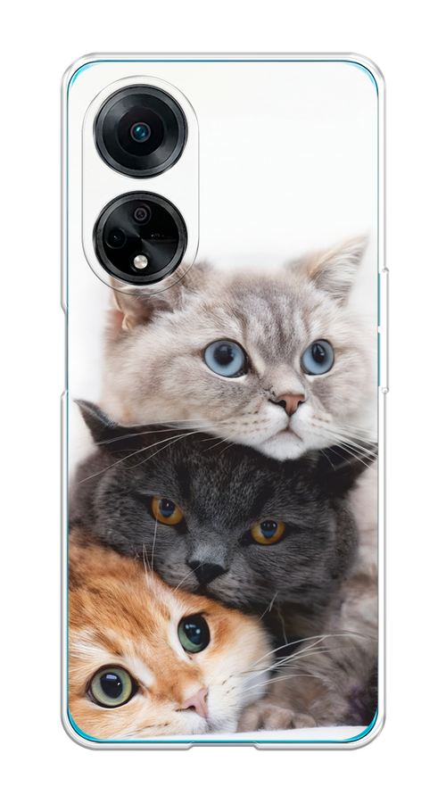 

Чехол на Oppo A98 "Пушистые мордашки", Серый;черный;оранжевый, 2514450-1