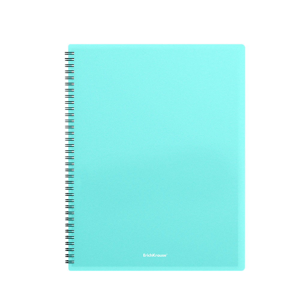 

Папка файловая ErichKrause Matt Pastel Mint на спирали с 20 прозрачными карманами A4