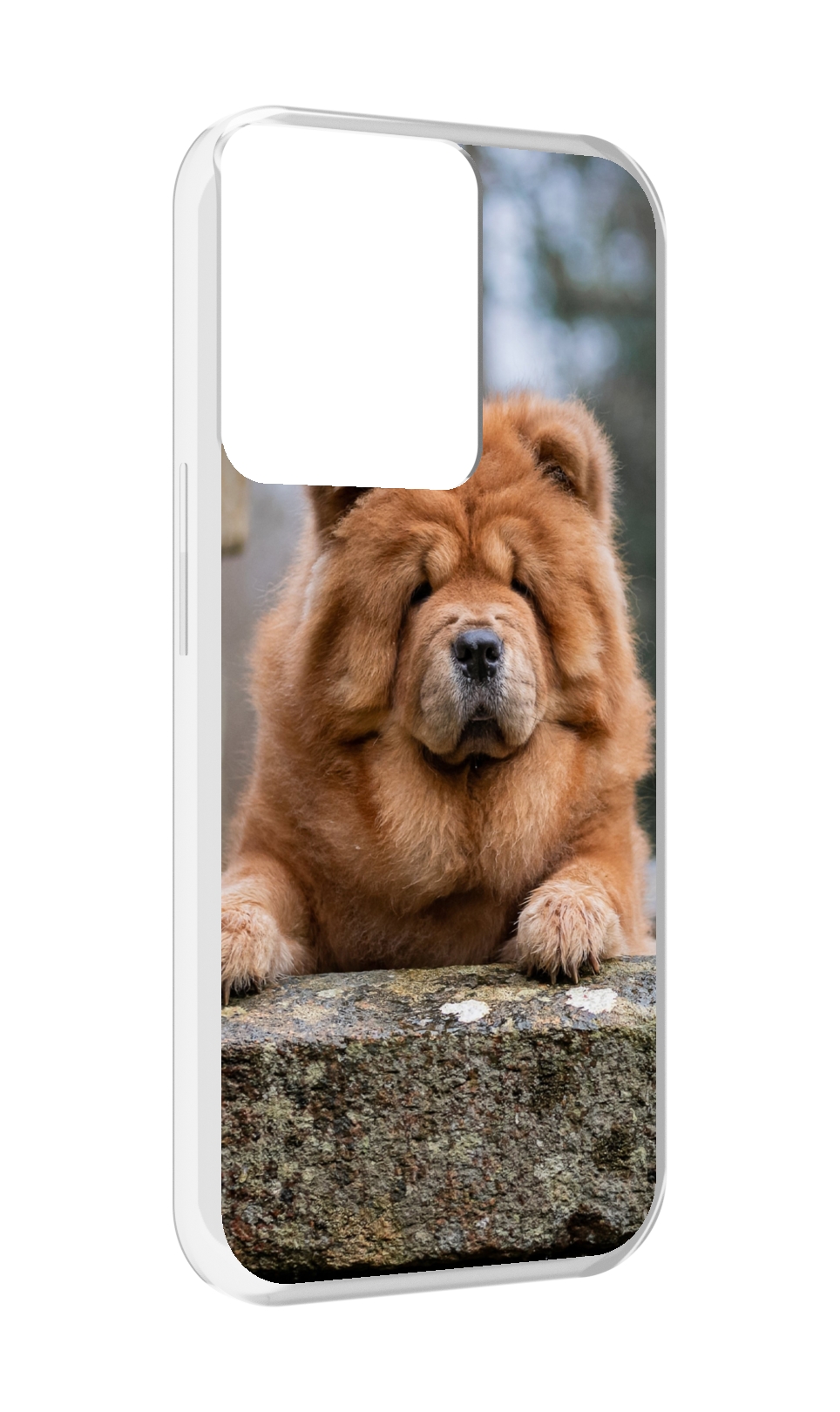 

Чехол MyPads чау чау для OPPO Reno 8, Прозрачный, Tocco