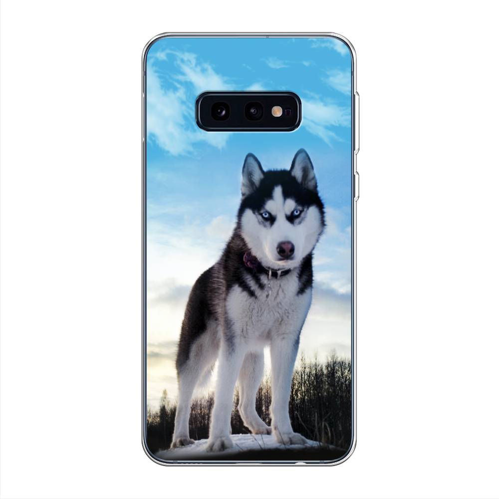 

Чехол Awog на Samsung Galaxy S10E "Хаски 3", Разноцветный, 27250-2