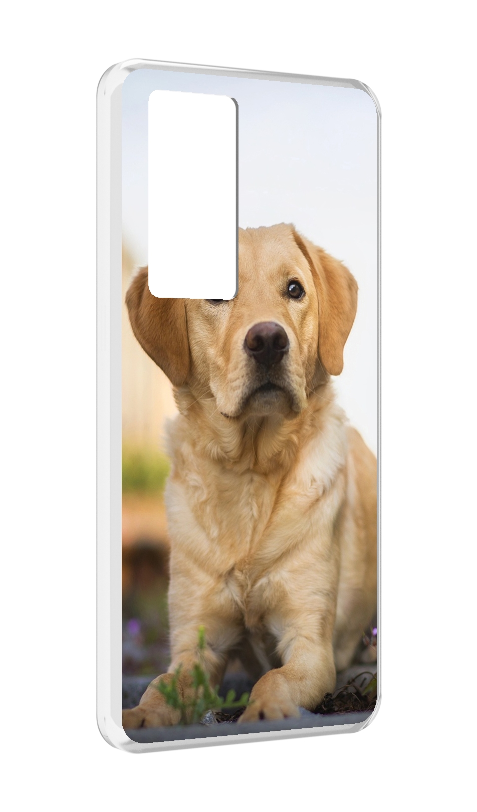 

Чехол MyPads лабрадор ретривер для Realme GT Master Explorer Edition, Прозрачный, Tocco