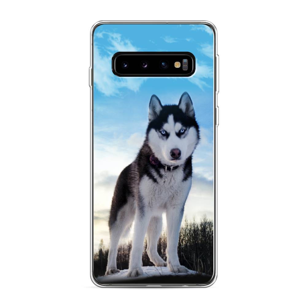 Чехол Awog  на Samsung Galaxy S10 