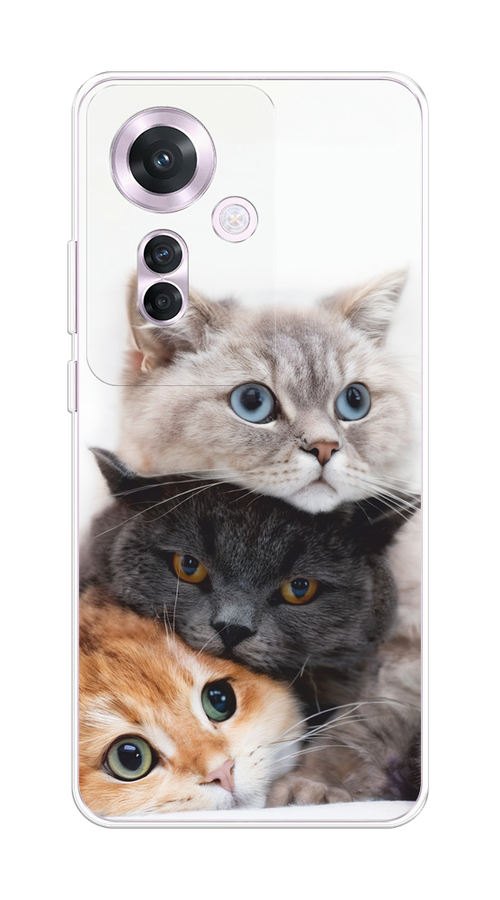 

Чехол на Oppo Reno 11F "Пушистые мордашки", Серый;черный;оранжевый, 2516650-1