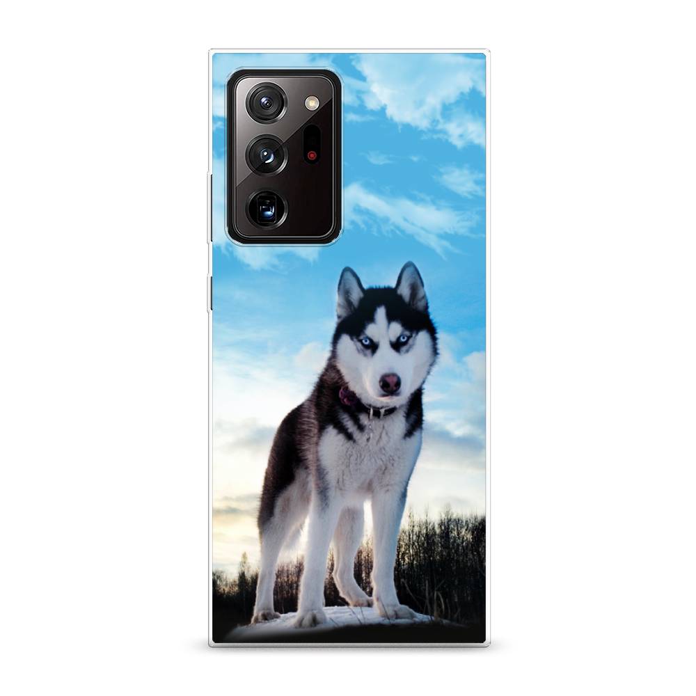 

Чехол Awog на Samsung Galaxy Note 20 Ultra / Самсунг Note 20 Ultra "Хаски 3", Разноцветный, 2101050-2
