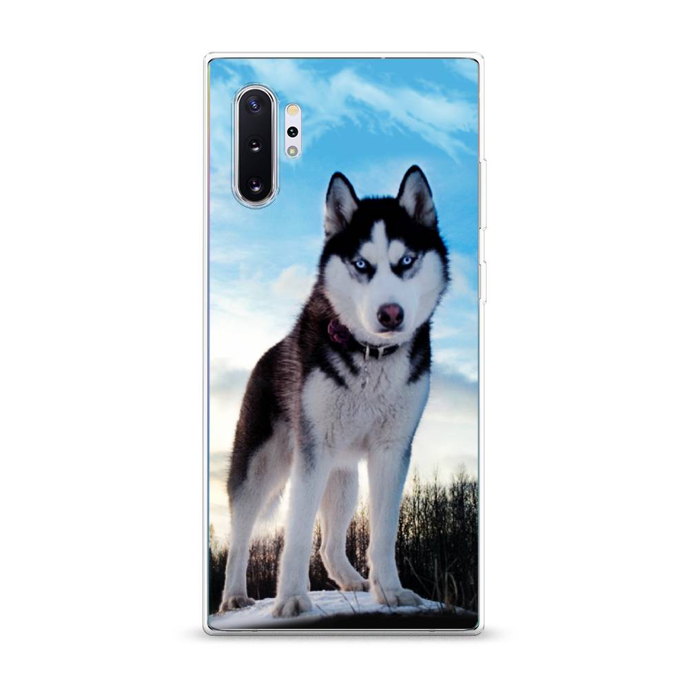 

Чехол Awog на Samsung Galaxy Note 10 + "Хаски 3", Разноцветный, 28550-2