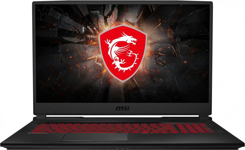 фото Ноутбук игровой msi gl75 10scxr-061ru (9s7-17e822-061)