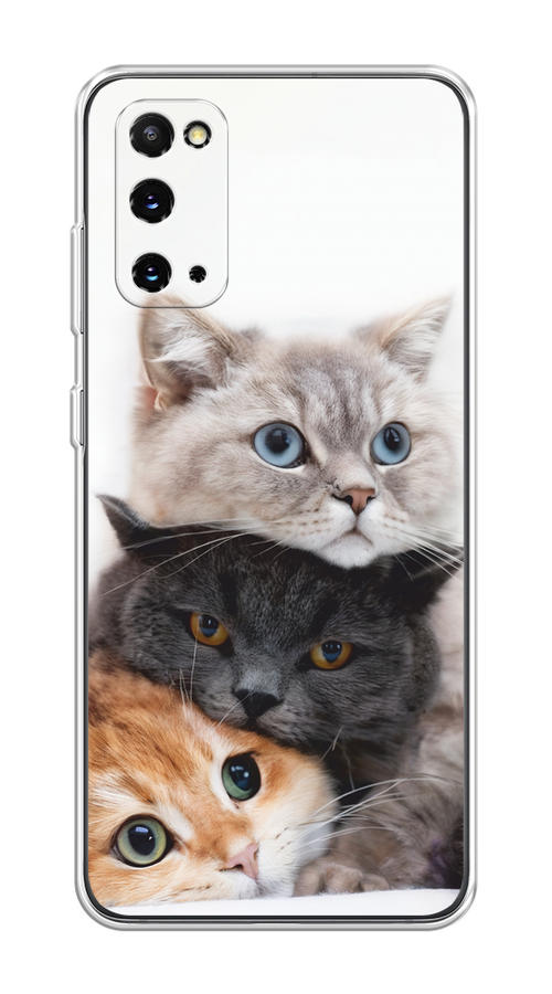 

Чехол на Samsung Galaxy S20 "Пушистые мордашки", Серый;черный;оранжевый, 29250-1