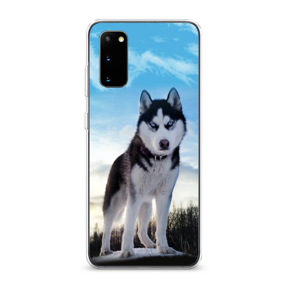 

Чехол Awog на Samsung Galaxy S20 "Хаски 3", Разноцветный, 29250-2