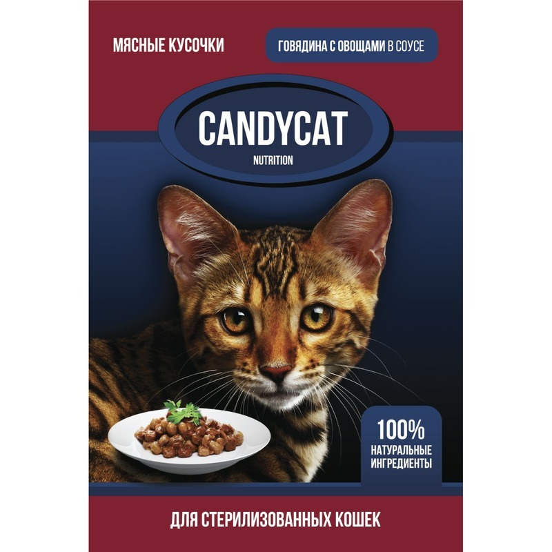 Влажный корм для кошек Candycat, говядина, овощи, 25шт по 85г