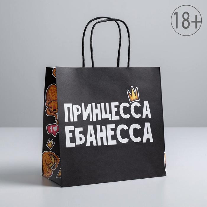 

Пакет подарочный «Принцесса», 22 х 22 х 11 см, Черный